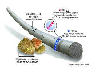 Diagram showing the relative size of particulate matter