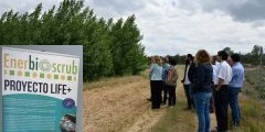 22-M: ENERBIOSCRUB at International Day of Forests in Ponferrada