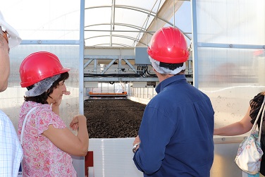 Photo of the inner area of the greenhouse