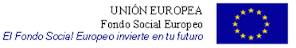 Logo UE - Fondo Social Europeo