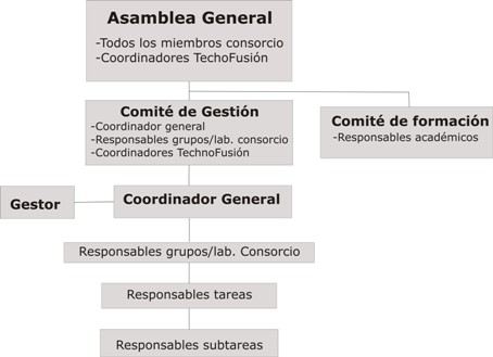 Organización del proyecto