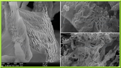 Impressive SEM images of graphene oxides exfoliated with different techniques