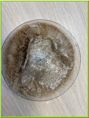 EXFOLIATED GRAPHENE OXIDE