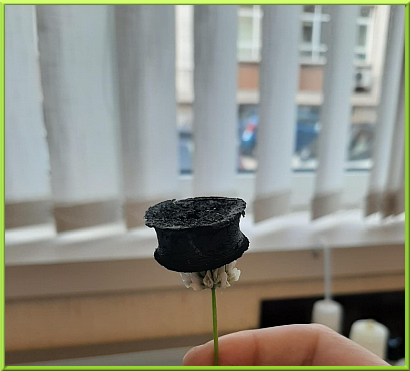 GRAPHENE AEROGEL
