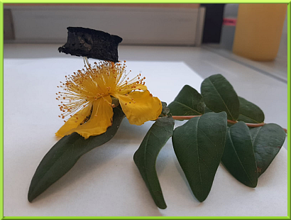 GRAPHENE AEROGEL