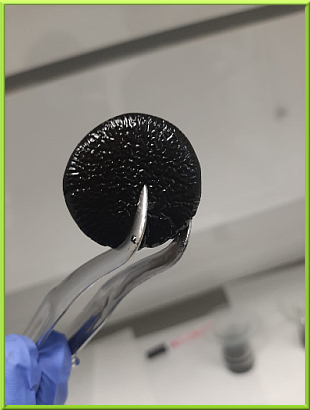 GRAPHENE HIDROGEL