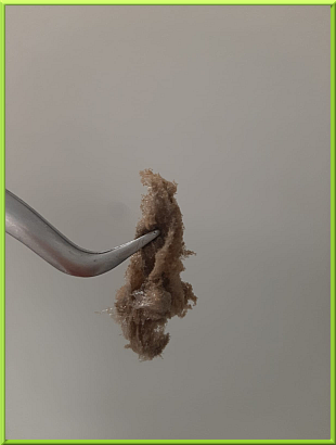 EXFOLIATED GRAPHENE OXIDE