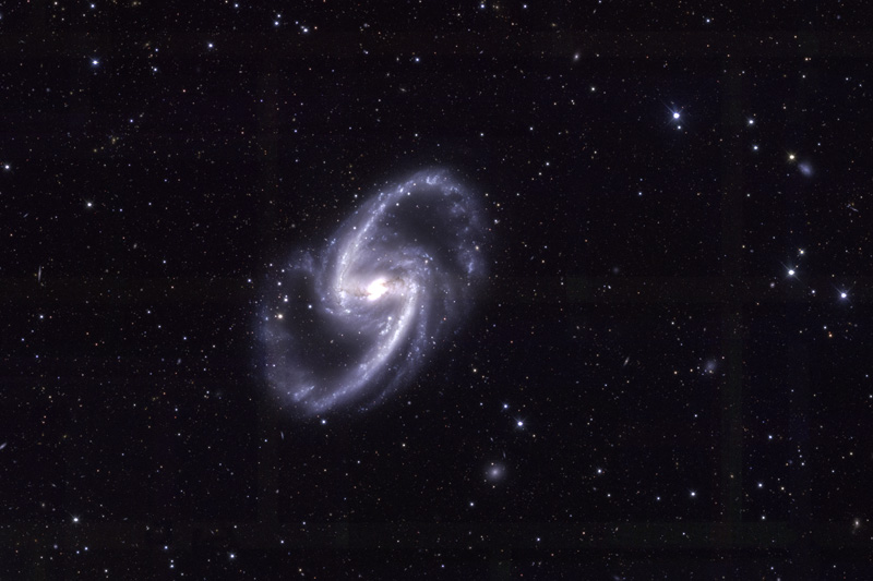 NGC 1365 by DES