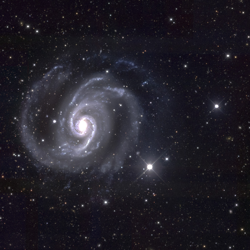 NGC 1566 by DES